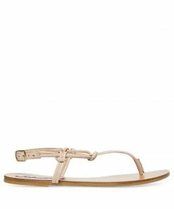 Recurate RESALE WARREN NATURAL - SM REBOOTED