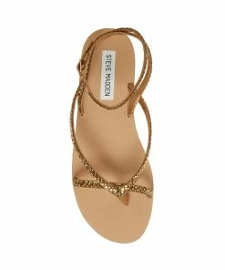 STEVEMADDEN AMUSE-R BRONZE