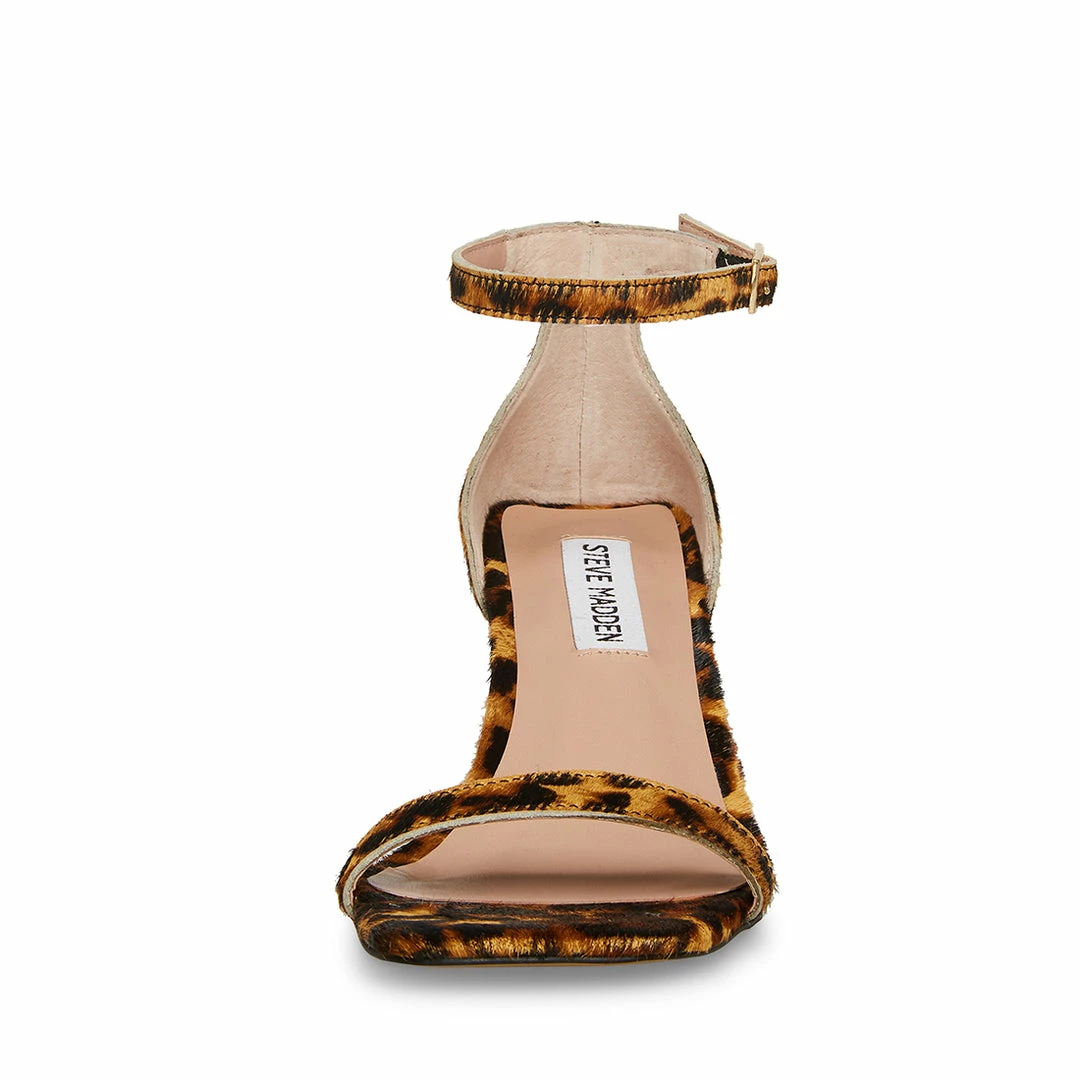 STEVEMADDEN WOMEN’S SHOES BLAIRE-L LEOPARD