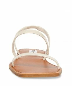 Recurate DIRECT BONE PATENT - SM REBOOTED