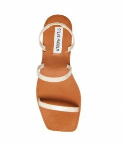 Recurate DIRECT BONE PATENT - SM REBOOTED