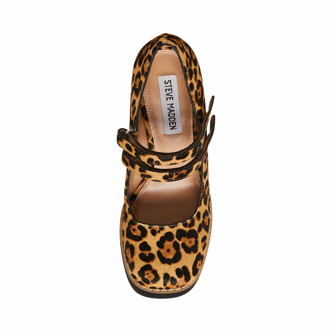 SteveMadden TWICE-P LEOPARD WOMEN’S SHOES