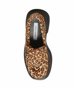 SteveMadden HAYDAN LEOPARD